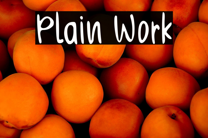 Plain Work Example 1