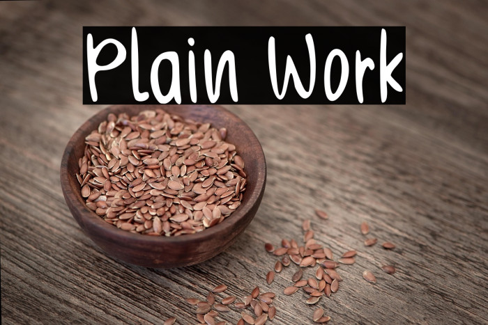 Plain Work Example 3