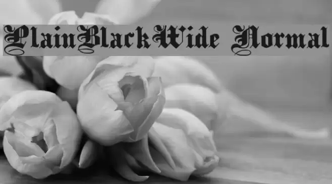 PlainBlackWide Normal Font examples