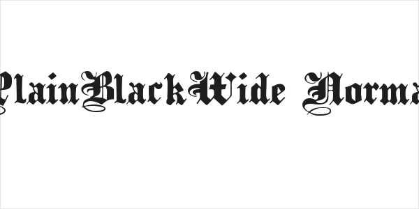 PlainBlackWide Normal Logo