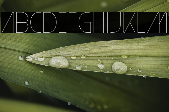 PlainCred1978-Regular Example 2