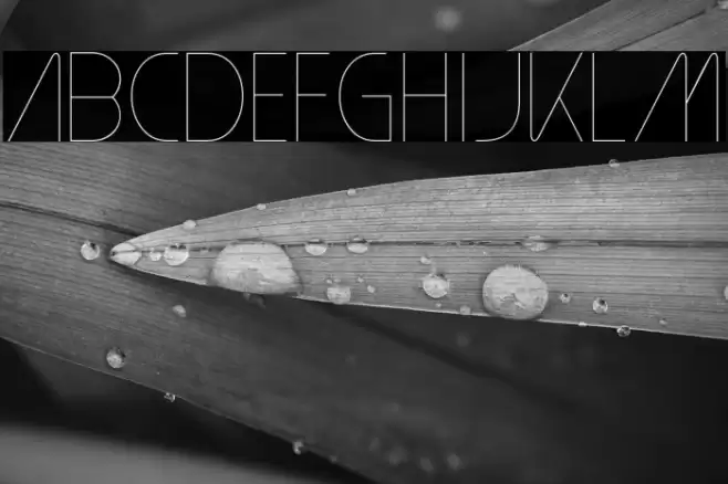 PlainCred1978-Regular Font examples