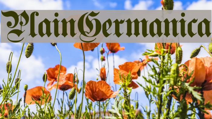 PlainGermanica Font examples