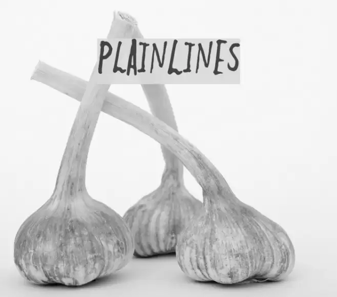 PlainLines Font examples