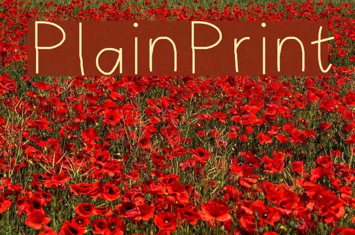 PlainPrint Example 1