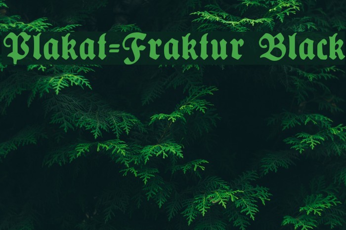 Plakat-Fraktur Black Font examples