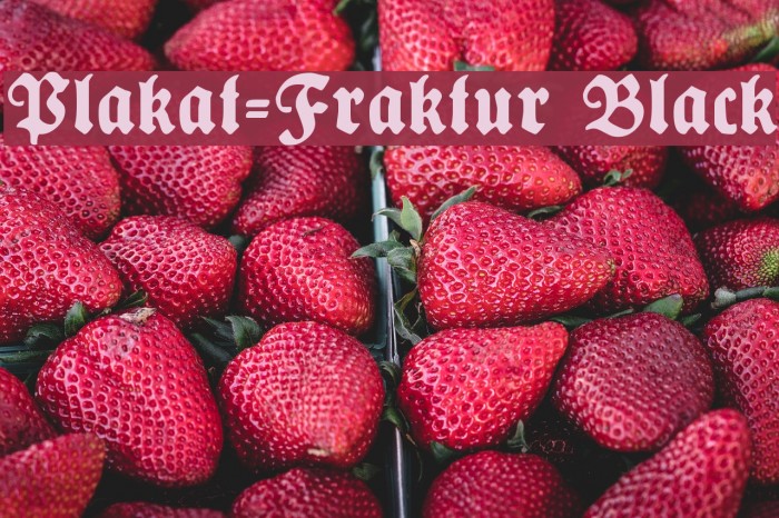 Plakat-Fraktur Black Font examples