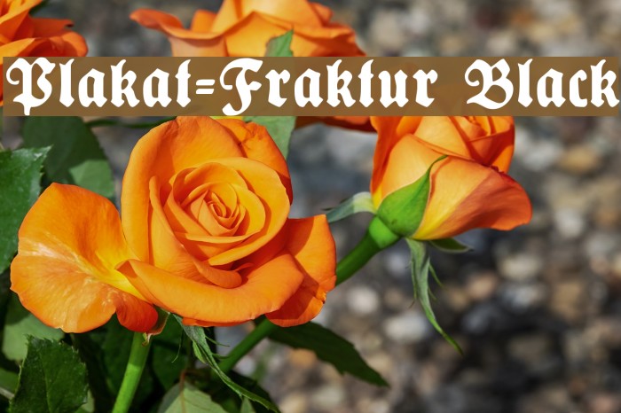 Plakat-Fraktur Black Font examples