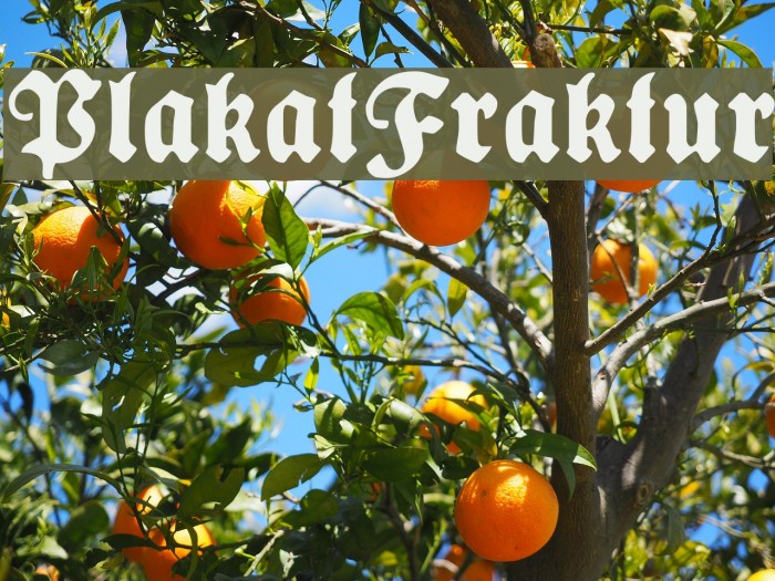 PlakatFraktur Font examples