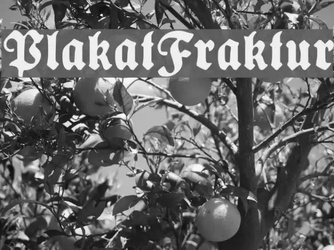 PlakatFraktur خط examples