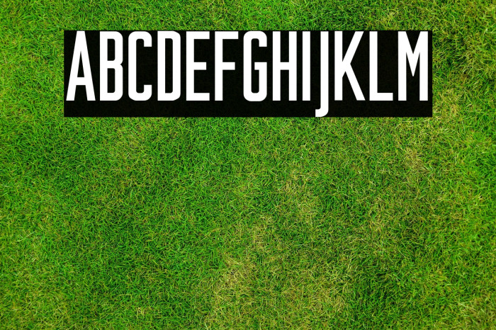 Plakative Grotesk Example 1