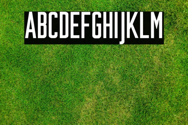 Plakative Grotesk Example 1
