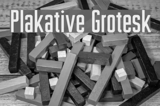 Plakative Grotesk Font examples