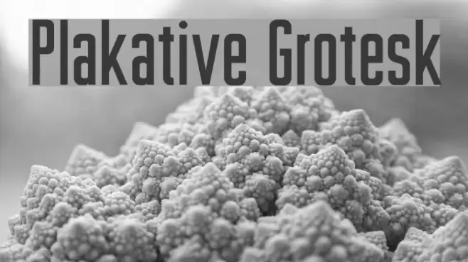 Plakative Grotesk Font examples