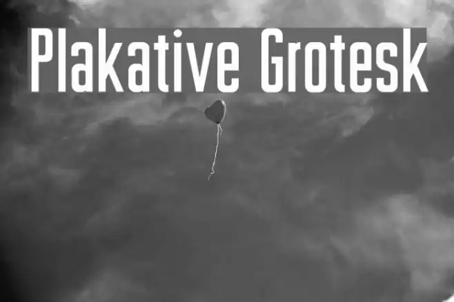 Plakative Grotesk Font examples