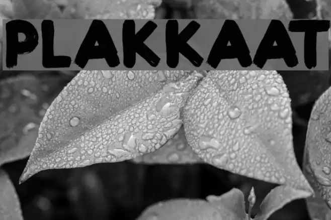 Plakkaat Fonte examples