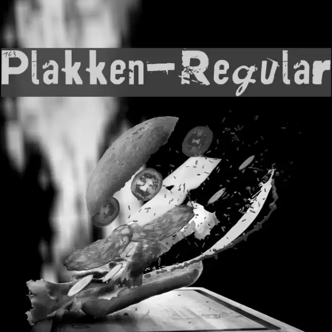 Plakken-Regular Font examples