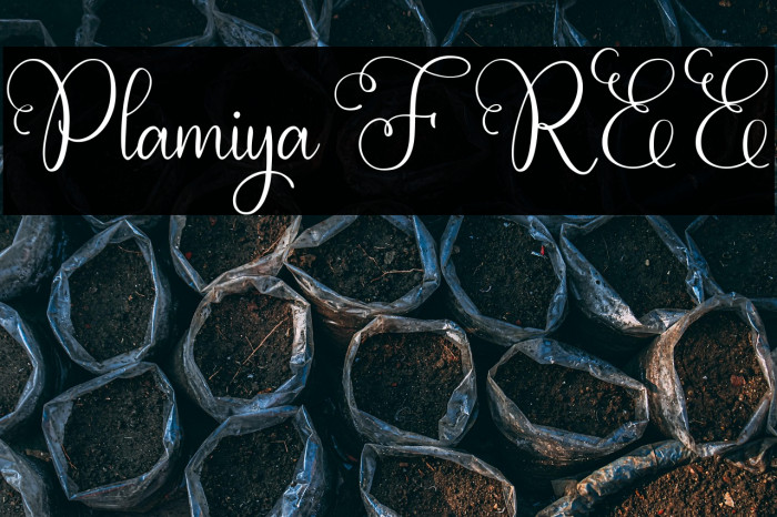 Plamiya FREE Example 1