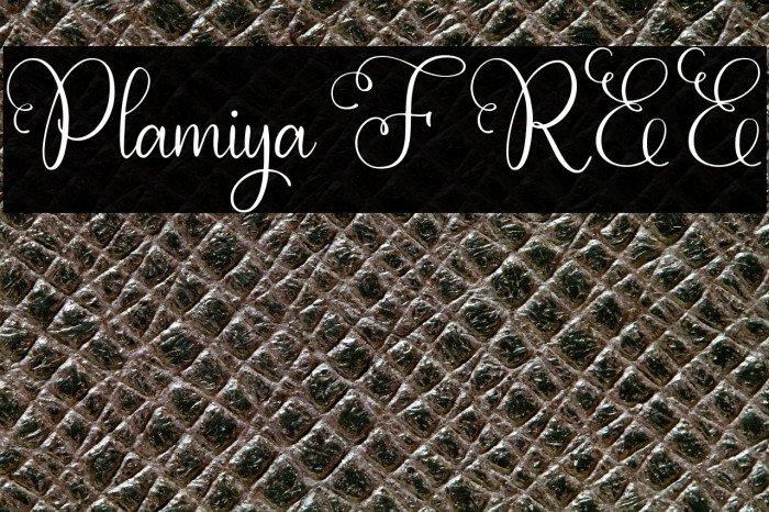 Plamiya FREE Example 2