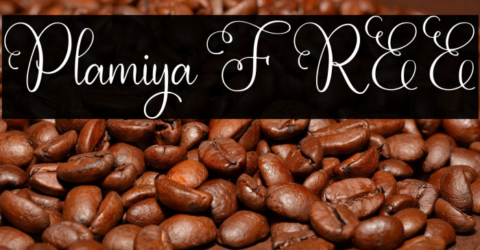 Plamiya FREE Example 3