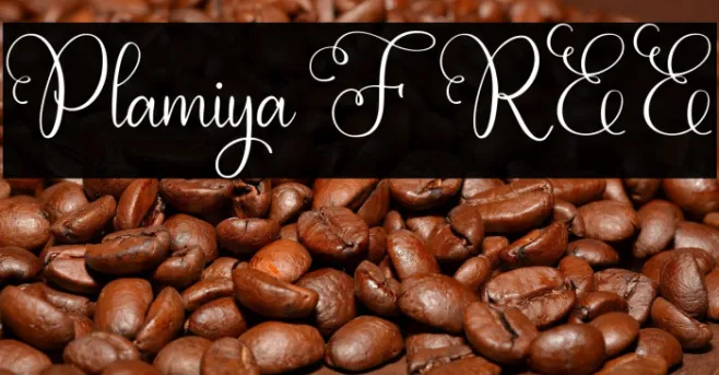 Plamiya FREE Example 3