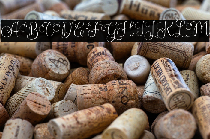 PlamiyaFREE Example 1