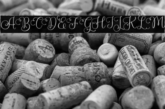 PlamiyaFREE Font examples