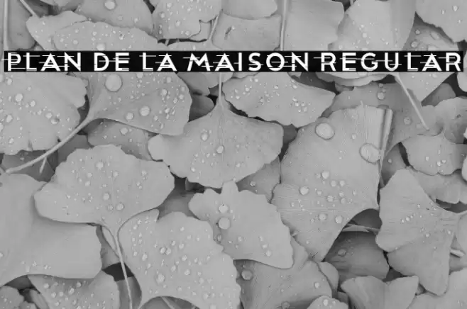 Plan De La Maison Regular Font examples
