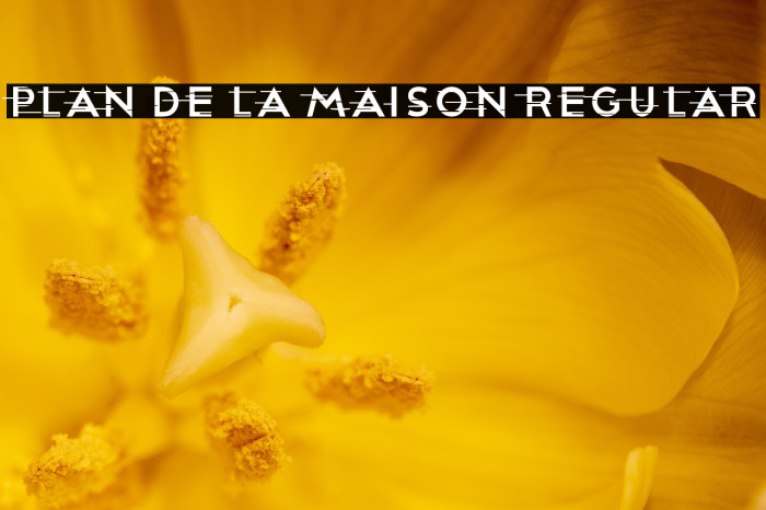 Plan De La Maison Regular Example 2