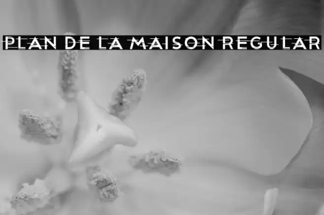 Plan De La Maison Regular Font examples