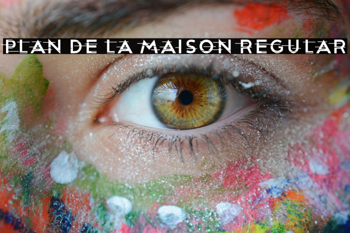 Plan De La Maison Regular Example 3