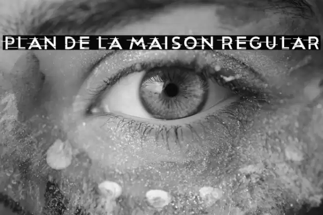 Plan De La Maison Regular Font examples