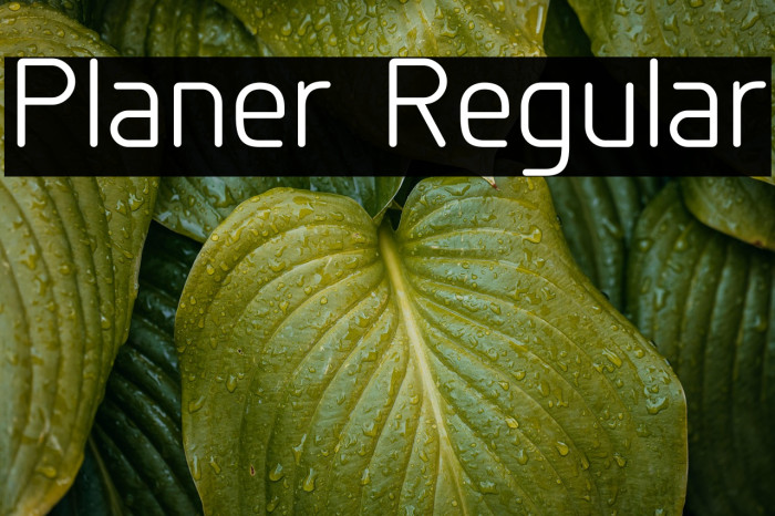 Planer Regular Example 1