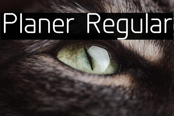 Planer Regular Example 3