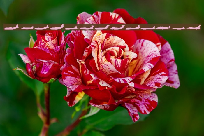 Planes-S-Modern Example 2