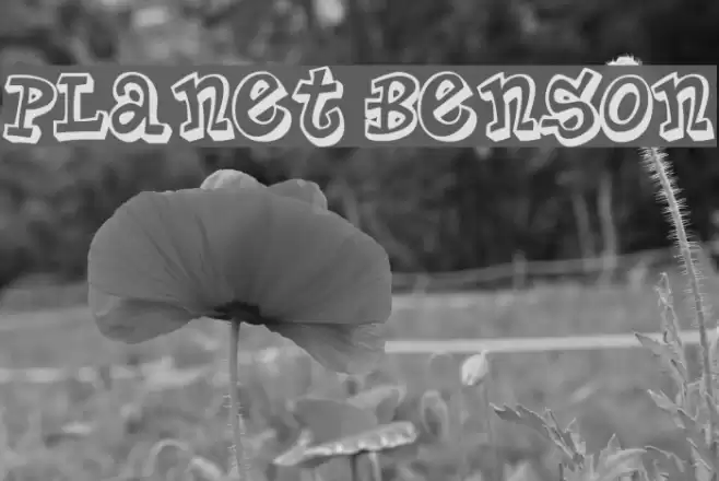 Planet Benson Font examples