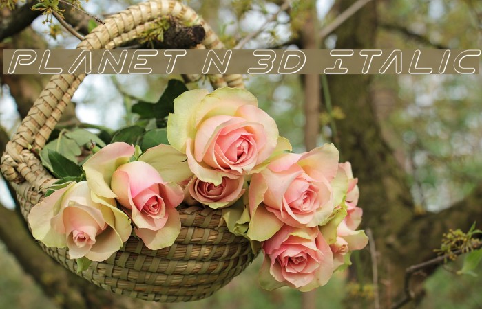 Planet N 3D Italic Font examples