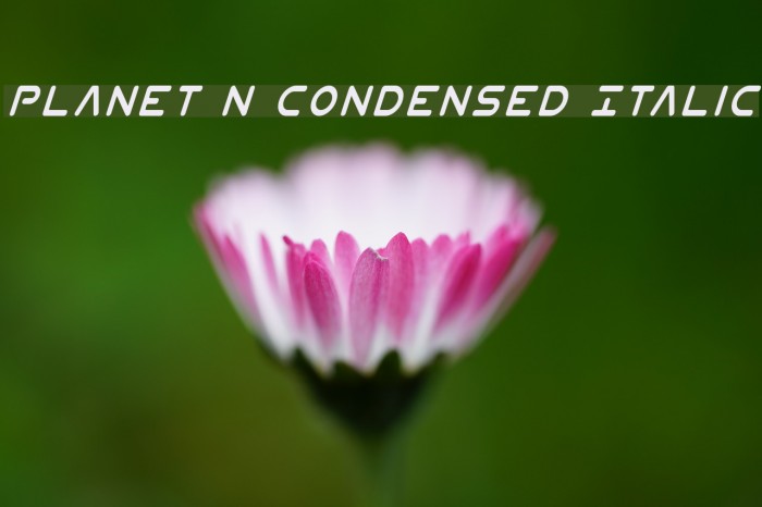 Planet N Condensed Italic Font examples
