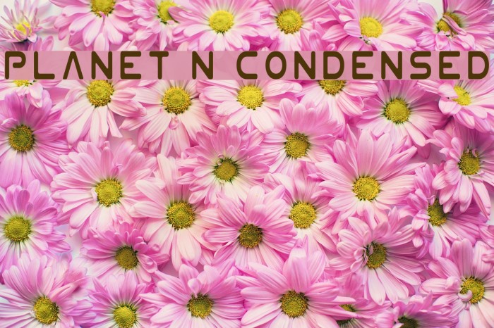 Planet N Condensed Font examples