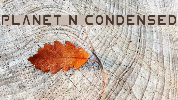 Planet N Condensed Font examples