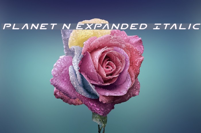 Planet N Expanded Italic フォント examples