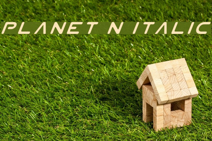 Planet N Italic Font examples
