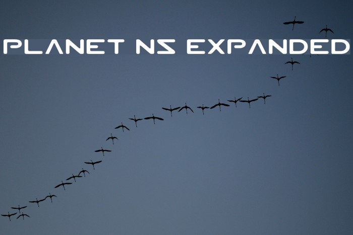 Planet NS Expanded Font examples