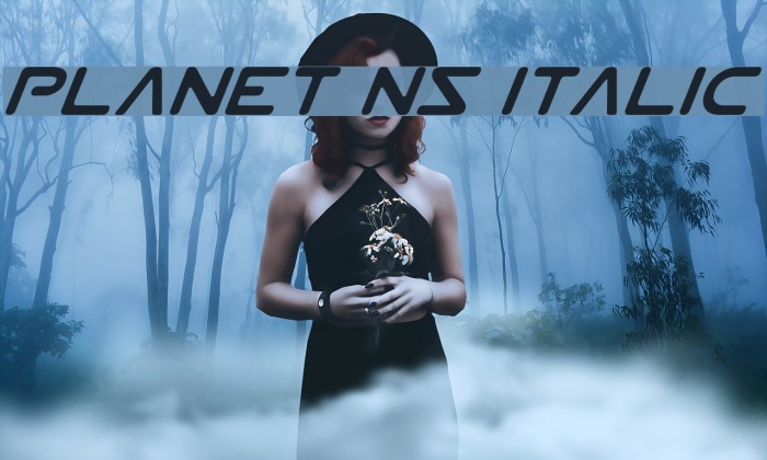 Planet NS Italic Font examples