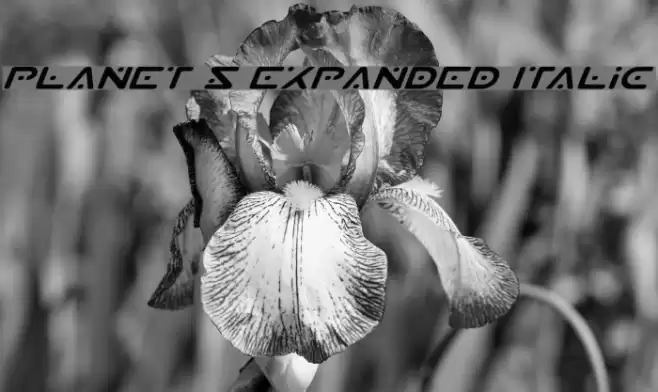 Planet S Expanded Italic Font examples