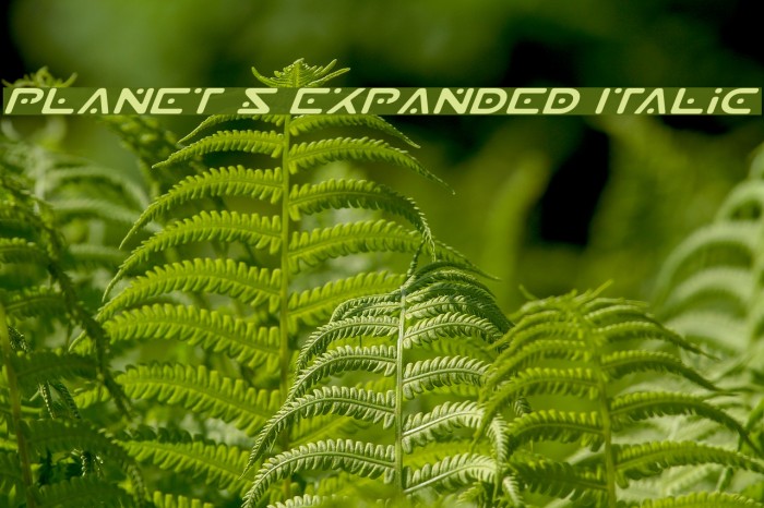 Planet S Expanded Italic Font examples