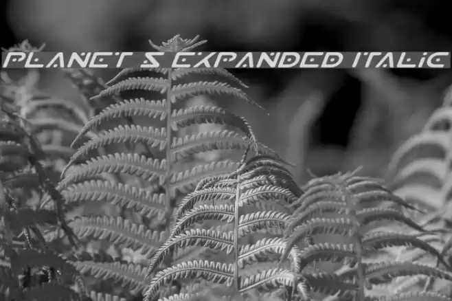 Planet S Expanded Italic Font examples