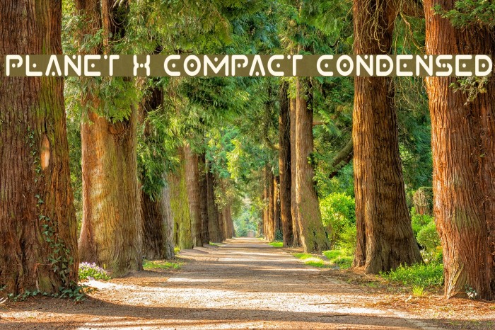 Planet X Compact Condensed Font examples