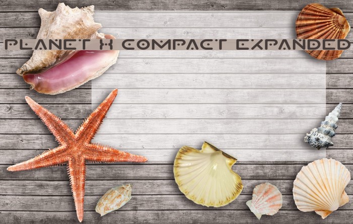Planet X Compact Expanded Font examples