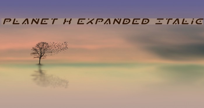 Planet X Expanded Italic Font examples